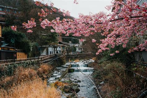  Hakone in the Springtime: Eine flüchtige Schönheit, eingefangen im Tanz des Farbholzschnitts!